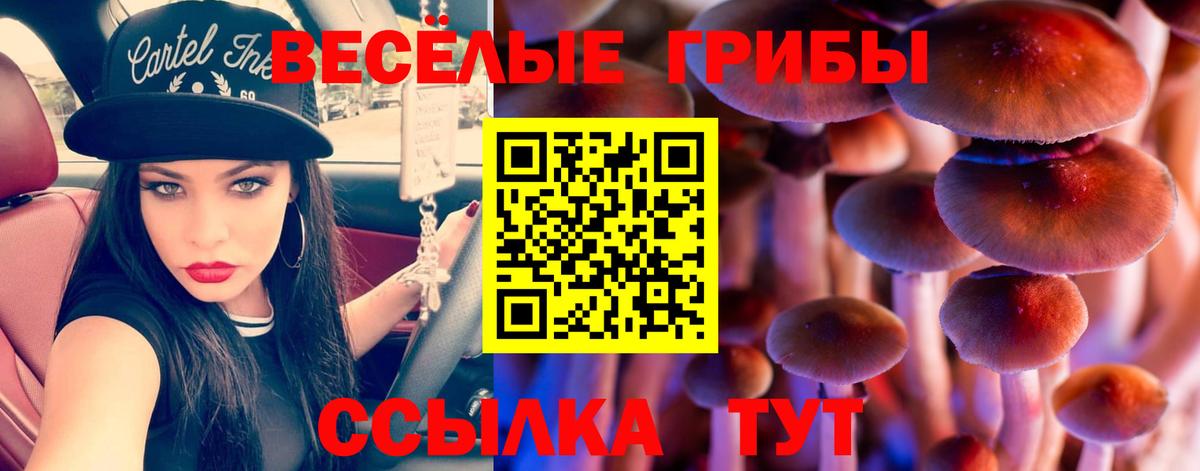 Псилоцибиновые грибы GOLDEN TEACHER Тулун